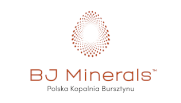 Logo BJ Minerals